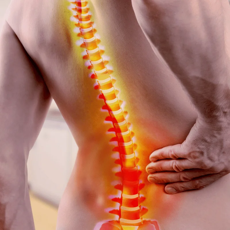 Spine Back Pain Treatment Sangamner